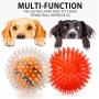 Spike Ball with Tennis Dog Toy, Medium 3.8'', TPR Throw Interactive Play Cleans Teeth for Medium Larger Pet (2 Balls)