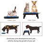 KOOPAO Cat Dog Food Bowls Elevated Dishes Stand, Travel Use Raised Pet Food Water Feeder Set with Foldable Silicone Frisbee Bowl and Detachable Leg for Small Medium Dogs Puppy, 9/24oz Dishwasher Safe