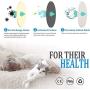 Sindello Pet Fountain Filters Cat Water Fountain Filter Premium Cat Carbon Replacement Filters for 1.6L Cat Flowers Fountain (8 Pack)