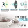 Sindello Pet Fountain Filters Cat Water Fountain Filter Premium Cat Carbon Replacement Filters for 1.6L Cat Flowers Fountain (8 Pack) Sindello Pet Fountain Filters Cat Water Fountain Filter Premium Cat Carbon Replacement Filters for 1.6L Cat Flowers Fountain (8 Pack)