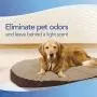 Febreze Air Freshener Dog Cleanup Pet Odor Defense Fresh Scent, 8.8 fl. oz., 8.8 FZ Febreze Air Freshener Dog Cleanup Pet Odor Defense Fresh Scent, 8.8 fl. oz., 8.8 FZ