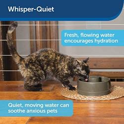 PetSafe Current Pet Fountain, Circulating Drinking Fountain for Cats and Dogs
