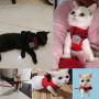 Woais Adjustable Pet Supplies Harness Harness Vest Lead Leash Collar Small Dog Mesh Bowtie Cat Clothes Puppy Stuff Kitten Stuff(S Black)