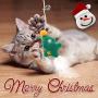 PETUOL Christmas Stocking Cat Toys, 12PCS Xmas Cat Toy with Squeaky Toys, Cat Teaser