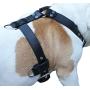 Genuine Leather Dog Harness Large 28''-35'' Chest, 1.3'' Wide Adjustable Straps