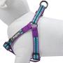 Blueberry Pet 5 Colors Step-in 3M Reflective Multi-Colored Stripe Padded Dog Harnesses