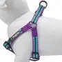 Blueberry Pet 5 Colors Step-in 3M Reflective Multi-Colored Stripe Padded Dog Harnesses Blueberry Pet 5 Colors Step-in 3M Reflective Multi-Colored Stripe Padded Dog Harnesses