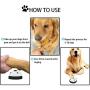JIMEJV Set of 2 Pet Training Bells, Dog Door Bells for Go Outside Potty Training and Communication Device with Whistle Puppy Interactive Toys