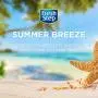 Fresh Step Cat Litter Crystals in Summer Breeze | Cat Litter Box Deodorizer, 15 Ounces - 3 Pack, Deodorizing
