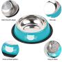 Legendog 3Pcs Cat Bowls, Cute Cat Food Bowls, Stainless Steel Cat Bowl, Cat Bowls for Food and Water, Cat Food Dish with Food Scoops…