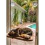 Cat Hammock,HiodFhip Cat Window Perch, Sunny Seat Window Mounted Cat Beds Hammock Pet Resting Seat Safety Space Saving Cat Shelves Providing All-Around 360° Sunbath Hold 30lb