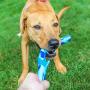 S&T INC. Natural Rubber Fetch Toy