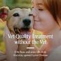 PetArmor Plus Flea & Tick Protection Oatmeal Shampoo for Dogs, 18oz