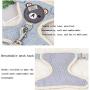 XRQ Dog Leash Vest,Escape Free Easy Fit Step-in Small Dog Harness - Perfect on The Go - No Pull Harness for Small Dogs Or Cat