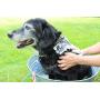 Jackie Doodles Pet Shampoo - Easily Removes Odors, Dirt & Itchy Dander - Awesome Results Guaranteed