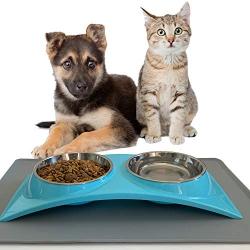 ZEXPRO Double Pet Food Bowls - Dog Bowls & Cat Bowls Made with Premium Stainless - Raised Feeding Stand with Non-Slip Silicon Mats Made with PP - Perfect for Cats and Small Dogs