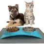 ZEXPRO Double Pet Food Bowls - Dog Bowls & Cat Bowls Made with Premium Stainless - Raised Feeding Stand with Non-Slip Silicon Mats Made with PP - Perfect for Cats and Small Dogs ZEXPRO Double Pet Food Bowls - Dog Bowls & Cat Bowls Made with Premium Stainless - Raised Feeding Stand with Non-Slip Silicon Mats Made with PP - Perfect for Cats and Small Dogs