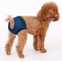 DONGXIONG Pet Diapers Girl Dog Puppy Pants Pet Underwe Dog Physiological Diaper Dogs Sanitary Panties Shorts Pet Accessories,Blue,M