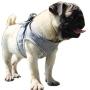 Alfie Pet - Mira 2-Piece Set Reflective Breathable Soft Air Mesh Puppy Dog Vest Harness