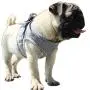 Alfie Pet - Mira 2-Piece Set Reflective Breathable Soft Air Mesh Puppy Dog Vest Harness Alfie Pet - Mira 2-Piece Set Reflective Breathable Soft Air Mesh Puppy Dog Vest Harness