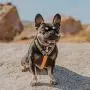 Pawmigo Free-Fit Step in Dog Harness Pawmigo Free-Fit Step in Dog Harness