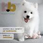Buddys Best, Pet Urine Odor Eliminator, Deodorizer, and Stain Remover - Enzymatic Cleaner for Dog Urine - Natural and Effective Enzyme Based Dog Pee Spray Cleaner - Bamboo Mint Scent, 32 fl oz Buddys Best, Pet Urine Odor Eliminator, Deodorizer, and Stain Remover - Enzymatic Cleaner for Dog Urine - Natural and Effective Enzyme Based Dog Pee Spray Cleaner - Bamboo Mint Scent, 32 fl oz
