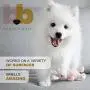 Buddys Best, Pet Urine Odor Eliminator, Deodorizer, and Stain Remover - Enzymatic Cleaner for Dog Urine - Natural and Effective Enzyme Based Dog Pee Spray Cleaner - Bamboo Mint Scent, 32 fl oz