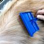 Chanok Dog Brush for Shedding Short Hair ( Free Dog Collar) Grooming Tool Easy To Clean Cleaning Slicker Comb for Short & Long Hair Pet, Small Dog, Golden Retriever, Poodle, Shih Tzu, Puppy