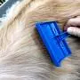 Chanok Dog Brush for Shedding Short Hair ( Free Dog Collar) Grooming Tool Easy To Clean Cleaning Slicker Comb for Short & Long Hair Pet, Small Dog, Golden Retriever, Poodle, Shih Tzu, Puppy Chanok Dog Brush for Shedding Short Hair ( Free Dog Collar) Grooming Tool Easy To Clean Cleaning Slicker Comb for Short & Long Hair Pet, Small Dog, Golden Retriever, Poodle, Shih Tzu, Puppy