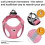 Curli Vest Harness Air-Mesh Dog Harness Pet Vest No-Pull Step-in Harness with Padded Vest Curli Vest Harness Air-Mesh Dog Harness Pet Vest No-Pull Step-in Harness with Padded Vest