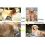 MEETWIN Undercoat Grooming Rake, Dematting Stripper, Tool, Combs for Medium to Large Dogs, Cats, Stainless Steel Combines with Solid Wooden Handle MEETWIN Undercoat Grooming Rake, Dematting Stripper, Tool, Combs for Medium to Large Dogs, Cats, Stainless Steel Combines with Solid Wooden Handle
