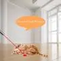 Sterling Endurance Cat Toys, Rechargeable, Cat Dog Exercise Toy