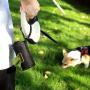 MalsiPree Dog Poop Bag Holder Leash Attachment, Dog Waste Bag Dispenser with Stainless Steel Carabiner Clip & Adjustable Strap Fit for Any Dog Leash & Poopbag (Black)
