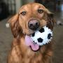 Gnawsome 3.5” Squeaker Soccer Ball Dog Toy - Medium, Promotes Dental and Gum Health for Your Pet, Colors Will Vary