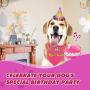 KOOLTAIL Dog Birthday Bandana with Hat&Toy Set - Squeaky Cake Chew Toy Cone Crown Triangle Scarf Pink Style for Dogs Birthday Party Outfit Supplies Suitable for Small Medium Dog Puppy