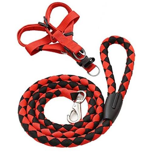 Dog Leash and Harness Set - Durable Dog Leash & Adjustable Cozy Dog Harness for Easy Control Small, Medium Dogs - Stops Dog from Pulling and Choking on Walks