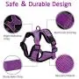 rabbitgoo Cat Harness and Leash for Walking, Escape Proof Soft Adjustable Vest Harnesses for Cats, Easy Control Breathable Reflective Strips Jacket, Purple, S(Chest: 18'' - 20'') rabbitgoo Cat Harness and Leash for Walking, Escape Proof Soft Adjustable Vest Harnesses for Cats, Easy Control Breathable Reflective Strips Jacket, Purple, S(Chest: 18'' - 20'')