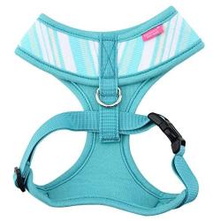 Pinkaholic New York Puppia