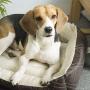 Petper Pet Bed, Self Warming Bed for Cat and Small Medium Dogs Puppy