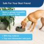 PetSafe Current Pet Fountain, Circulating Drinking Fountain for Cats and Dogs