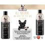 Pet Oatmeal Anti-Itch Shampoo & Conditioner In One! Smelly Puppy Dog & Cat Wash, Natural Ingredients & Hypoallergenic! Relief For Allergies, Itchy, Dry, Irritated Skin!! Smells Amazing! (1 btl)