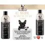 Pet Oatmeal Anti-Itch Shampoo & Conditioner In One! Smelly Puppy Dog & Cat Wash, Natural Ingredients & Hypoallergenic! Relief For Allergies, Itchy, Dry, Irritated Skin!! Smells Amazing! (1 btl)