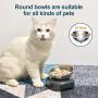 EZMioo Elevated Cat Bowls with 1 Stainless Steel Bowls, 15° Tilted Raised Cat Food and Water Bowls, Stress Free Food Grade Material, Nonslip No Spill Pet Feeding Bowls for Cat and Small Dogs