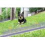 Free Spirit In-Ground Fence - Underground Wire Dog Containment System - Waterproof, Rechargeable Collar with Tone/Vibrate and Shock - Keep Your Pets in Your Yard with this Custom DIY Boundary Kit