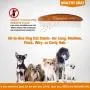 2021New Premium Handmade Dog Comb for Easily Removes Tangles and Knots. Cat Comb for Removing Matted Fur. Best Pet Grooming Tool with Rounded and Smooth Ends Teeth and Beautifully Crafted Wooden Handle. 2021New Premium Handmade Dog Comb for Easily Removes Tangles and Knots. Cat Comb for Removing Matted Fur. Best Pet Grooming Tool with Rounded and Smooth Ends Teeth and Beautifully Crafted Wooden Handle.