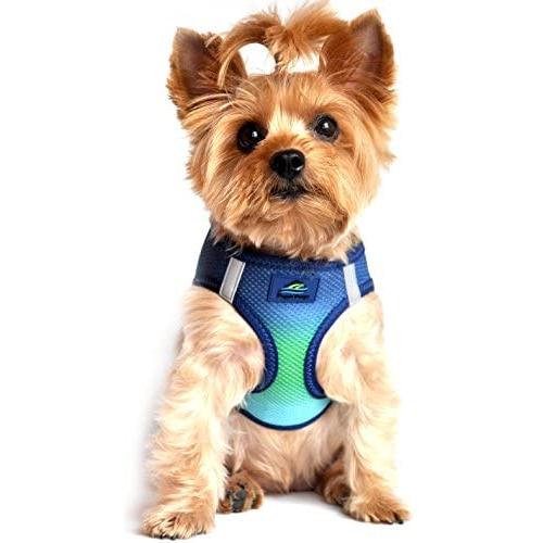 DOGGIE DESIGN Ultra Choke Free Step in Reflective Dog Harness American River Ombre Northern Lights