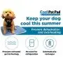 TheGreenPetShop Dog Cooling Mat – Gel Self Cooling Mat for Dogs – The Must-Have Cool Pet Pad for Hot Summer Weather – Patented Pressure Activated Pet Cooling Pad, No Water or Electricity Needed TheGreenPetShop Dog Cooling Mat – Gel Self Cooling Mat for Dogs – The Must-Have Cool Pet Pad for Hot Summer Weather – Patented Pressure Activated Pet Cooling Pad, No Water or Electricity Needed