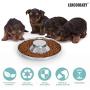 LEACOOLKEY Stainless Steel Dog Bowl-Puppy Feeder Food/Water Bowl-Puppy Feeding Bowls for Litters-Pet Feeder Bowl Whelping/Weaning Dishes Feeder for Small/Medium/Large Dogs Ste of 2