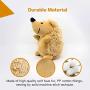 CPYOSN Hedgehog Dog Toys, Dog Squeak Plush Pet Toys Intreactive Training Stuffed Dog Chew Toys for Puppies and Small Dogs, 2 Pack