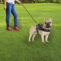 PETMAKER Dog Harness